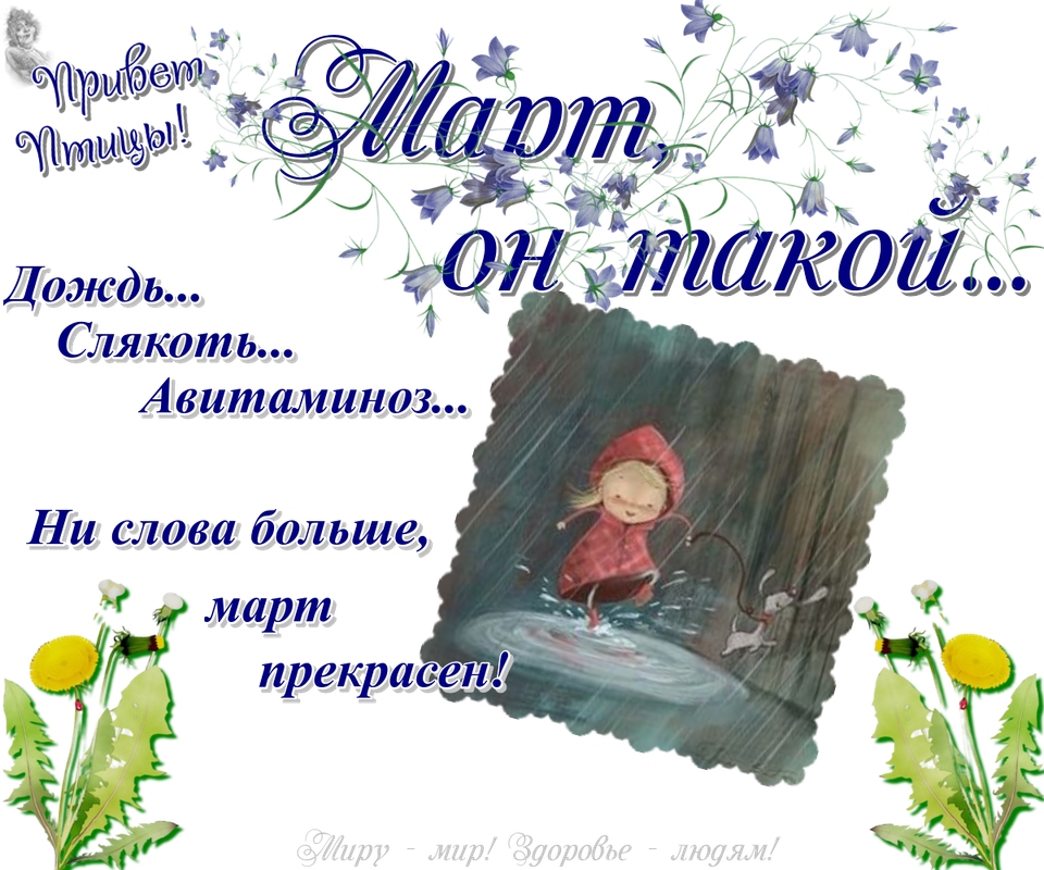 https://i.postimg.cc/Fs6DxFzY/01-03.png
