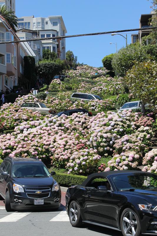 Día Seis: San Francisco-1 - My West USA road trip: un viaje de película. (7)