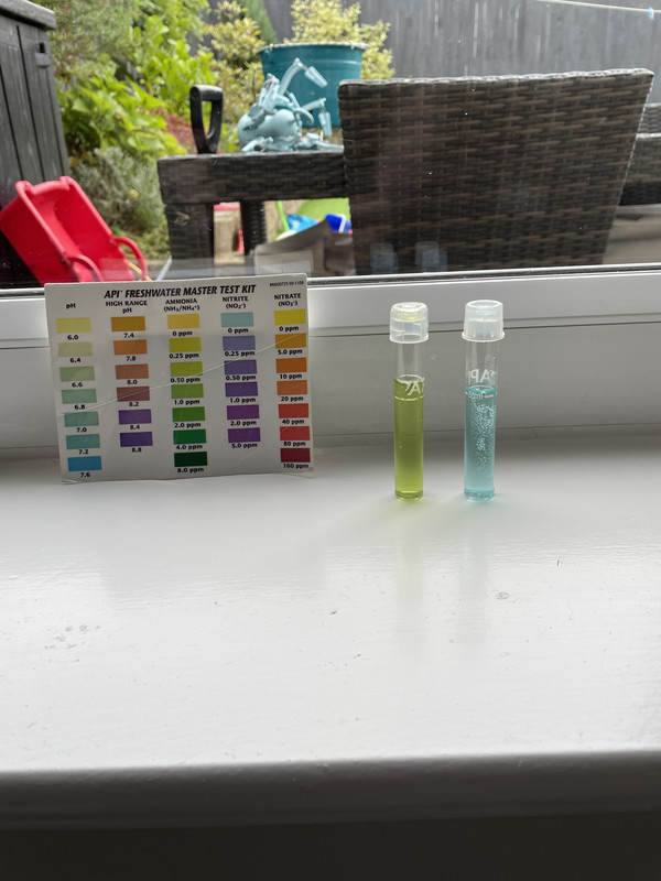 45ACC8EA-E079-496B-B886-D6E5C684774B