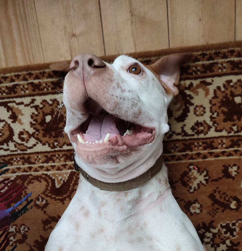 823E4504-3B44-4E90-8D10-BB9A682F0F28