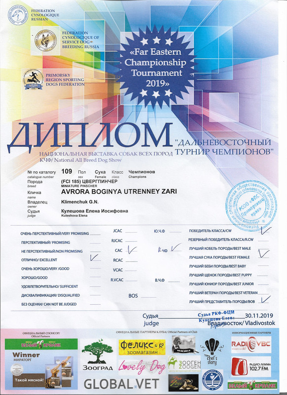 Варя диплом