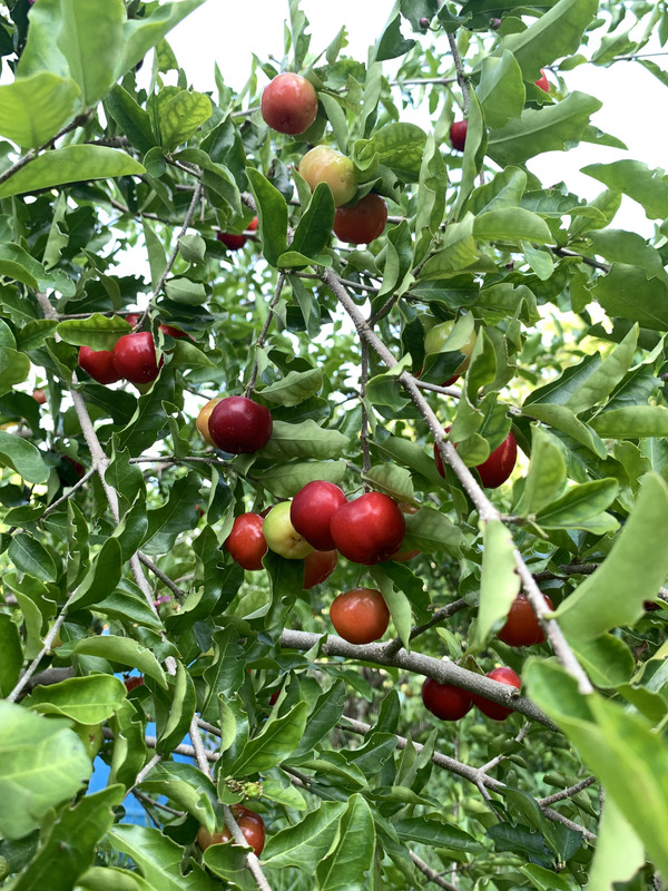 C77E7672-67B8-48CE-819A-0282195286F8