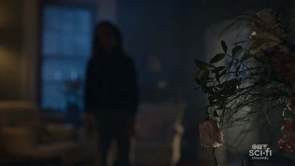 [Image: Paranormal-Revenge-S01-E10-1080p-HEVC-x265.png]