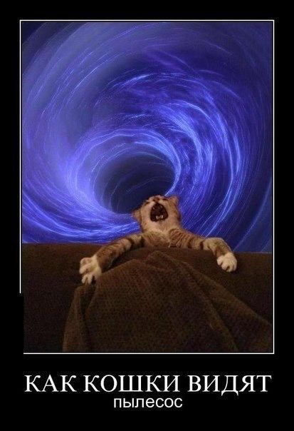 9422d447de723ff352251428357904c2