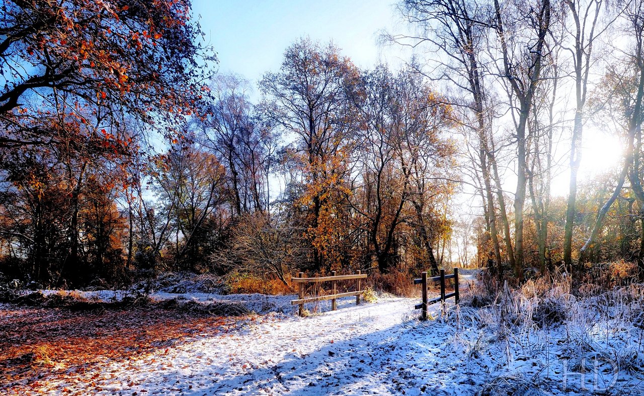 snow-park-bridge-HD.jpg