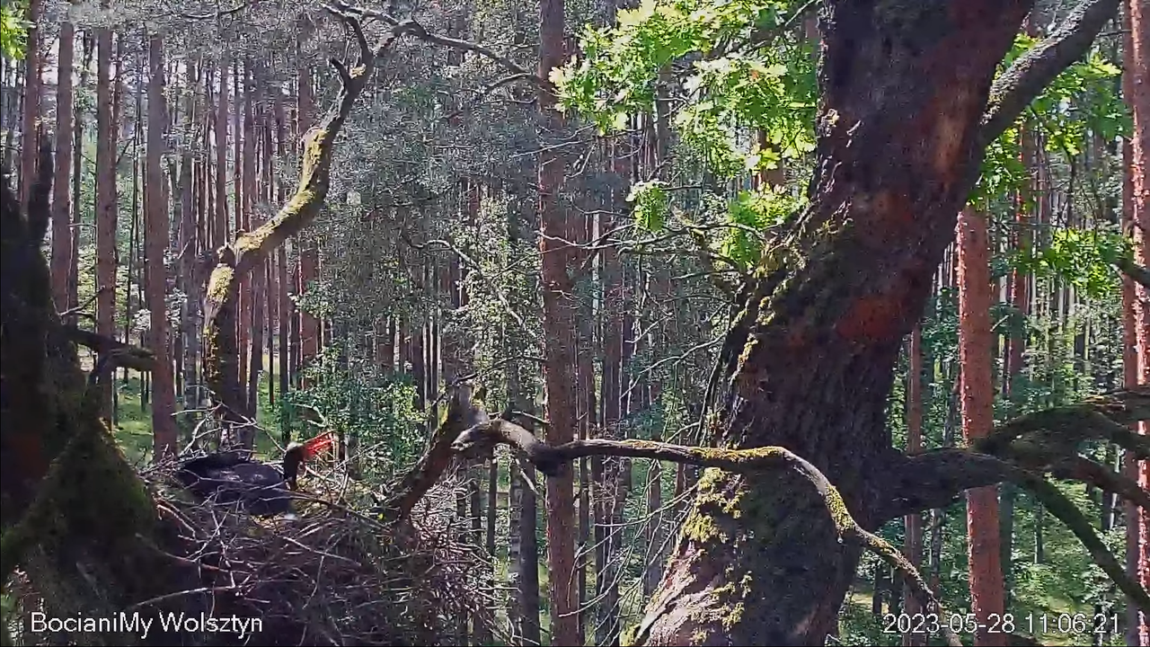 Zrzut ekranu (15046)