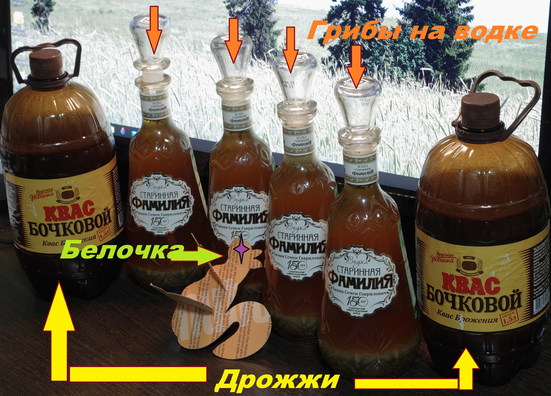 IMGP484300000000 — копия