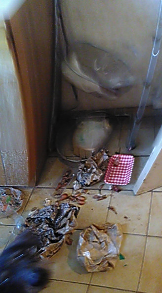 [Image: PANO-20211204-155219.jpg]