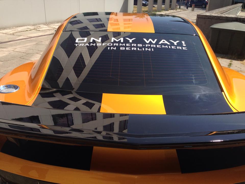 10398021_711550732224293_366766238011293416_n