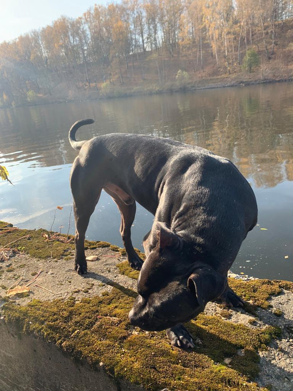 24FA6852-8BEC-4692-9526-BBC4C686F1D4