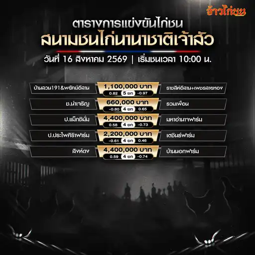 ภาพรวมโปรแกรมไก่ชนสนามชนไก่นานาชาติเจ้าสัว วันที่ 16 สิงหาคม 2569
