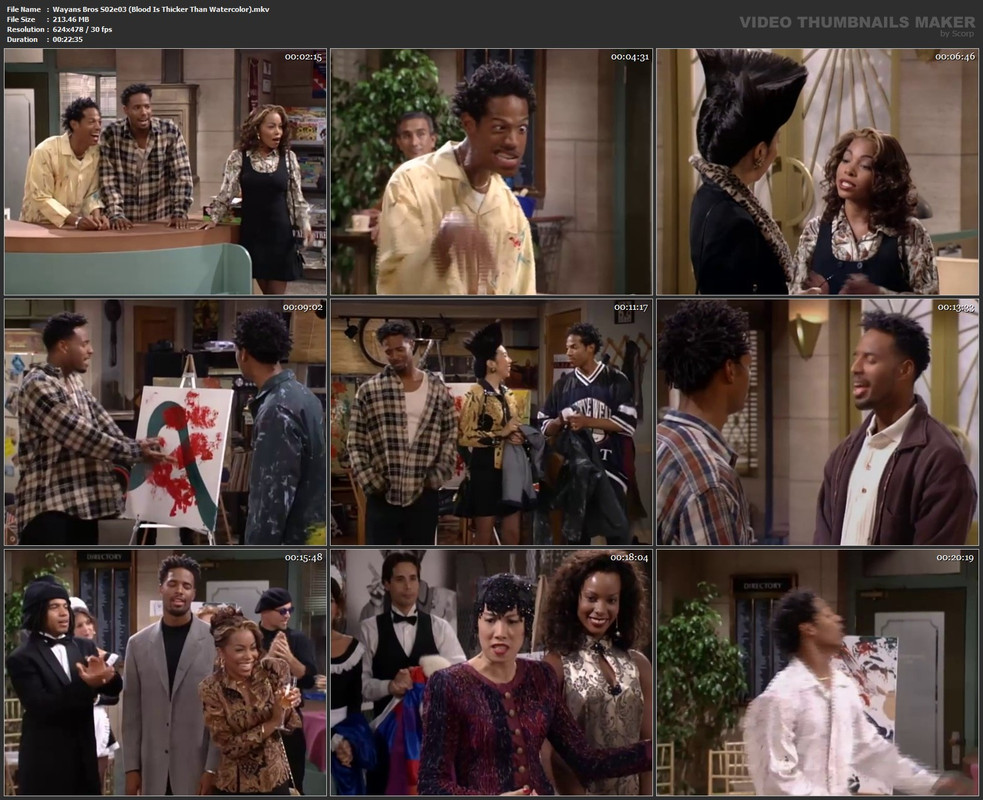 Wayans Bros S02e03 (Blood Is Thicker Than Watercolor).mkv