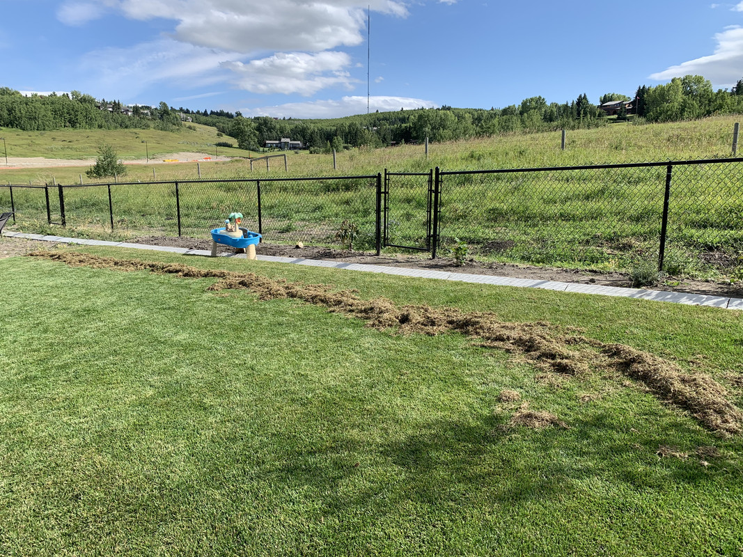 758408DB-0459-4C4B-9A18-AF7B5A606E47