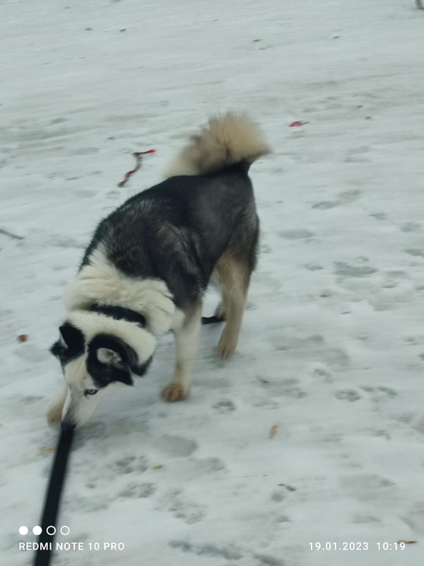 679E43F7-9DAA-4DFA-B477-C0FB8AD9D5F1