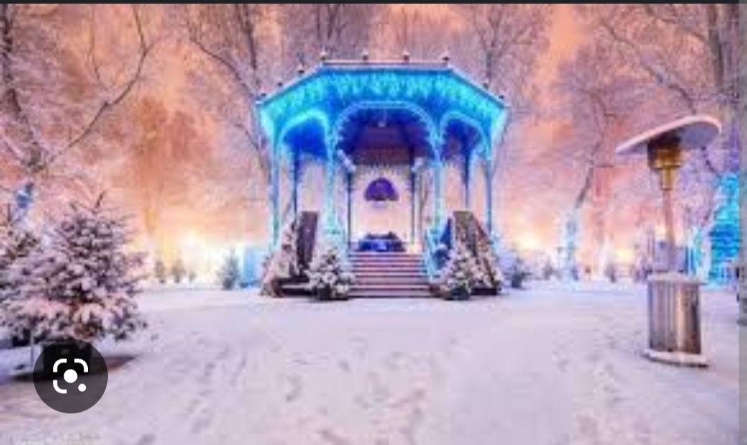 Screenshot_20221125-200028_Chrome