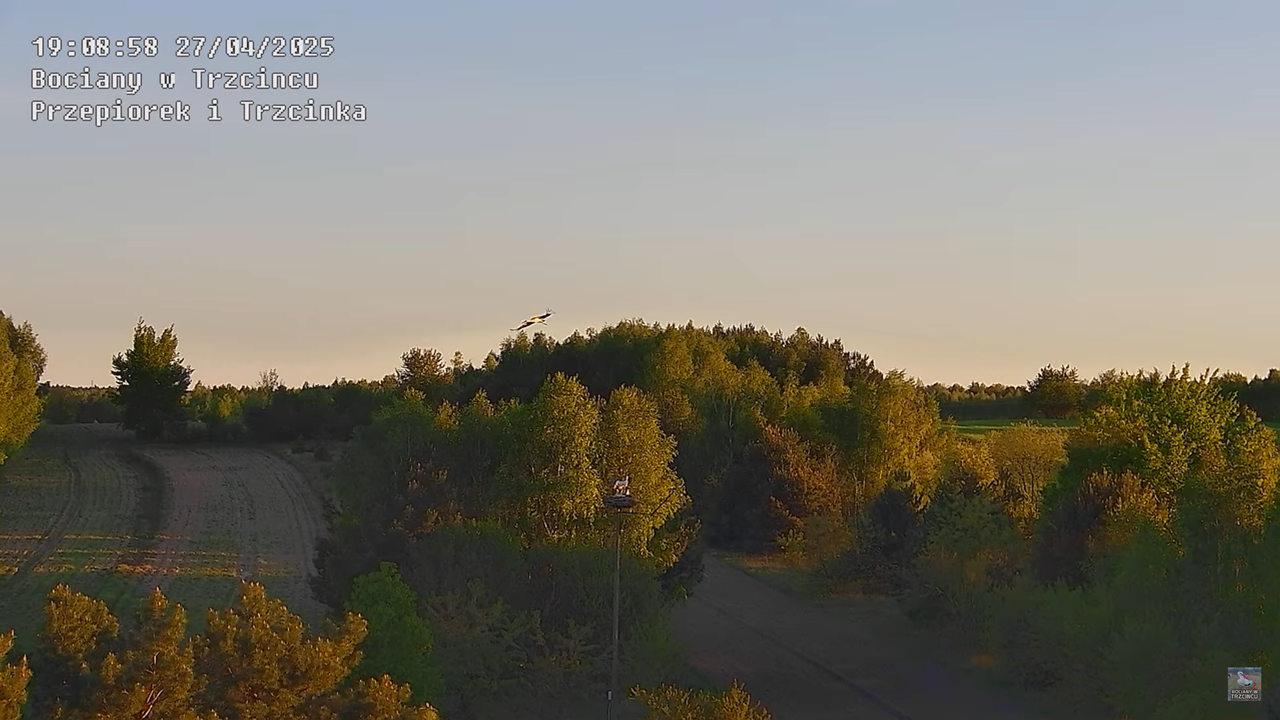 27042025bociany21