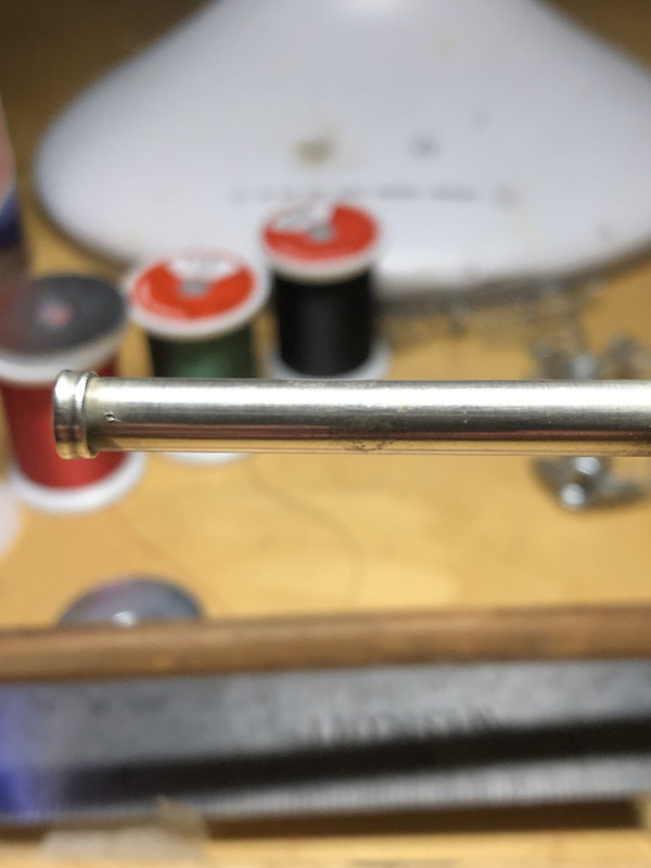 Polished female ferral blue