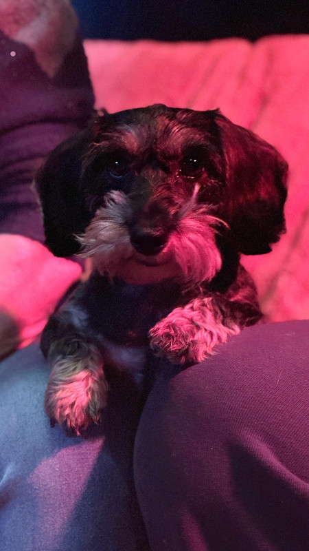 [Image: 90779d05-f327-4a61-91bc-378ddb080ba7.jpg]