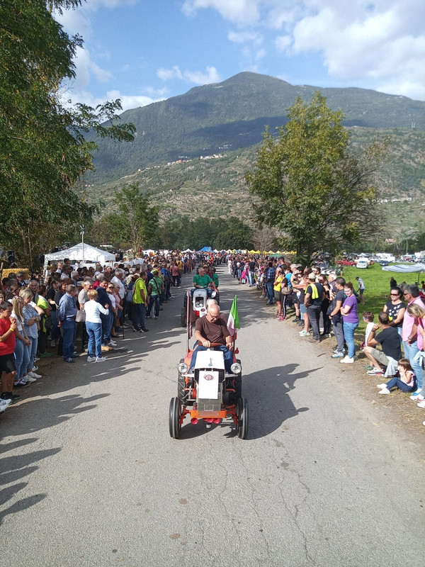 Scargaamuut 2023 (1)