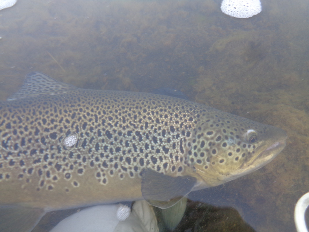 C332055A-1C27-43FB-9E02-4CD4F81E46A6