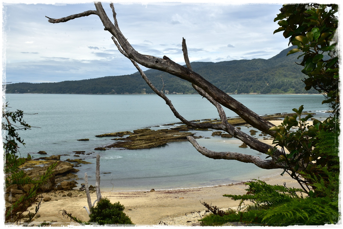 Escapadas y rutas por la Nueva Zelanda menos conocida - Blogs de Nueva Zelanda - Fiordland NP: Humpridge Track (febrero 2021) (69)