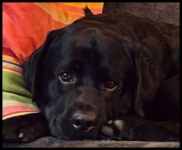 Afbeelding-van-Whats-App-op-2025-12-04-om-21-32-28-2f31ff84