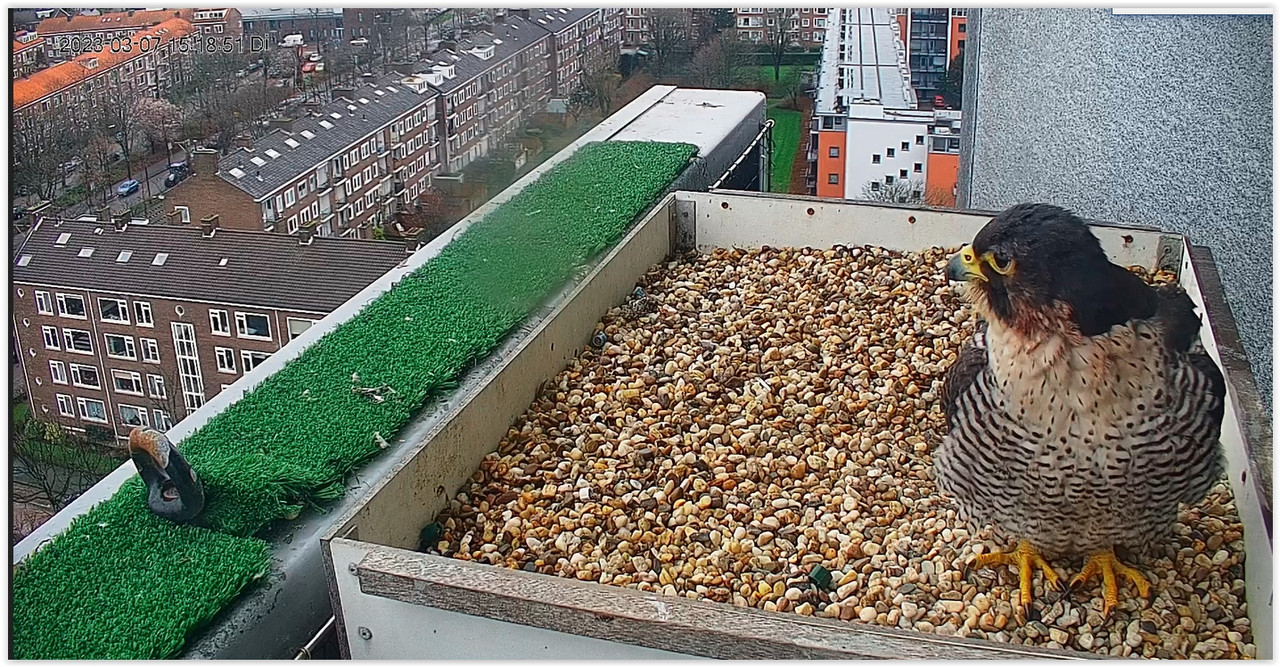 Screen Shot 03-07-23 at 03.19 PM