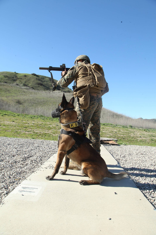 U.S. MARSOC multipurpose canine handlers3