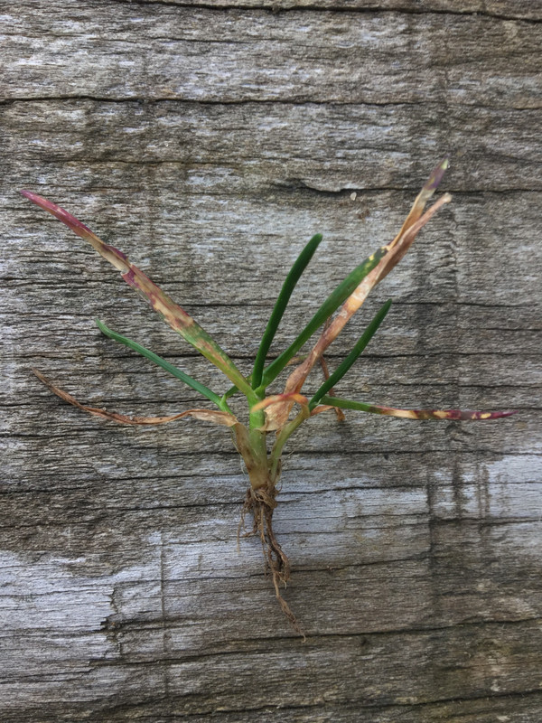 9DFF0489-1C06-4846-83CC-69E4383BA2FC