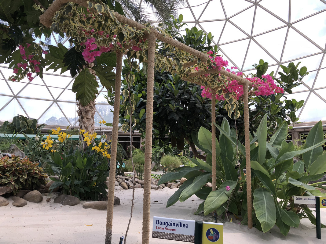 3F731071-0442-4F7F-BF45-FC693D719E2E