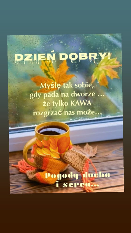https://i.postimg.cc/FsBGwcPt/402495850-24768246362758751-7300222537815278114-n.jpg