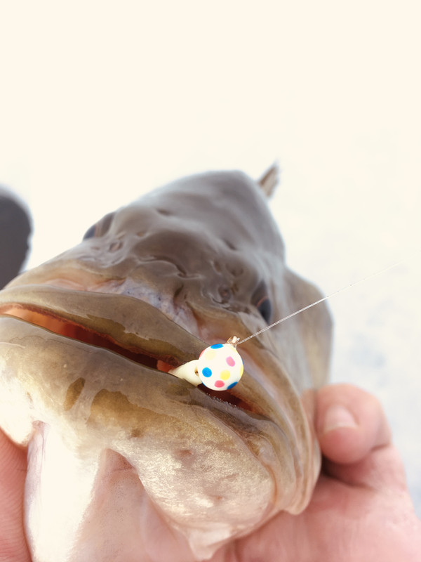 B468C34D-3062-4D8D-A3B4-2E874E8F4F21