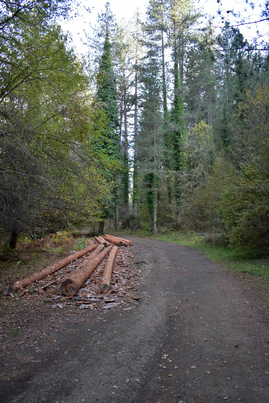 Βάλια Κάλντα (9)
