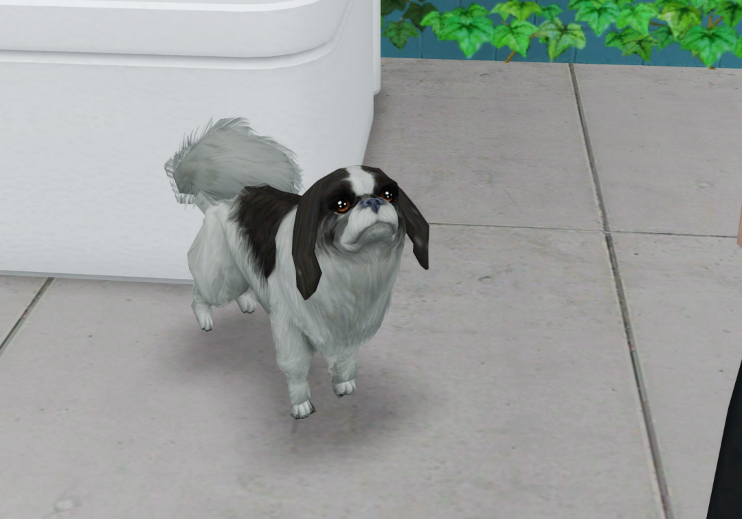 Sims2-EP9-RPC-2022-11-03-21-12-26-57
