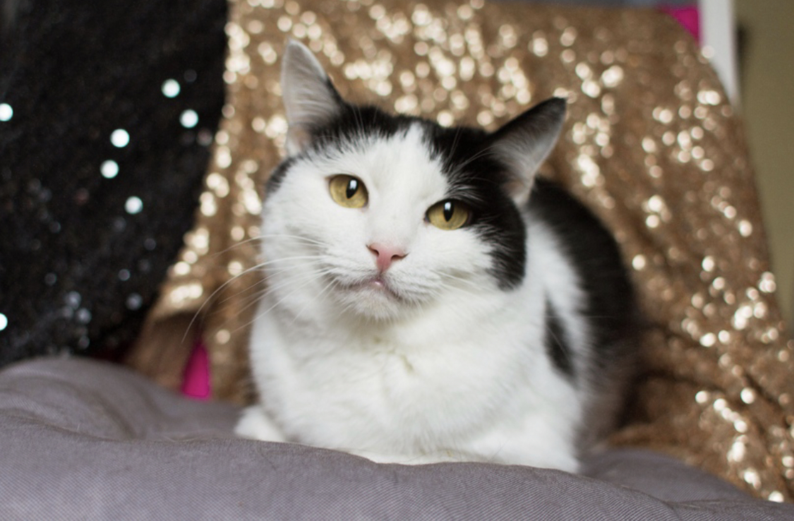 BF6C724A-A93E-4530-8FF0-F5E56EF738A7