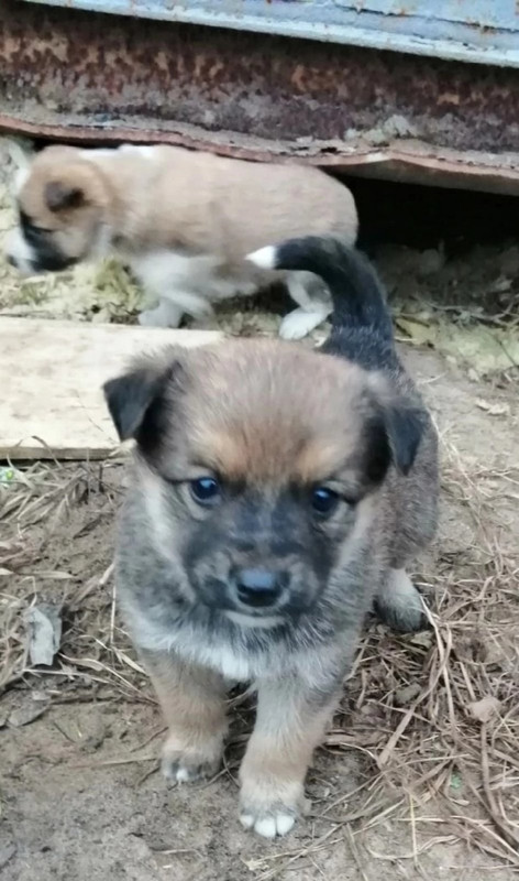 IMG-248792f35e1a0120863fdab265f6034c-V