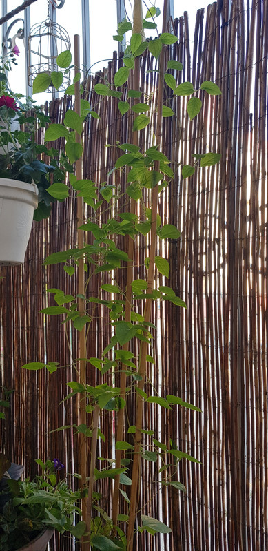 20190610_073534
