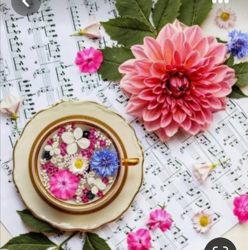 Screenshot_20230426_215434_Pinterest