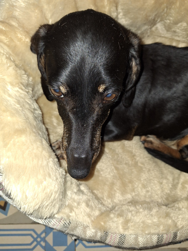 [Image: 20240609-142943.jpg]