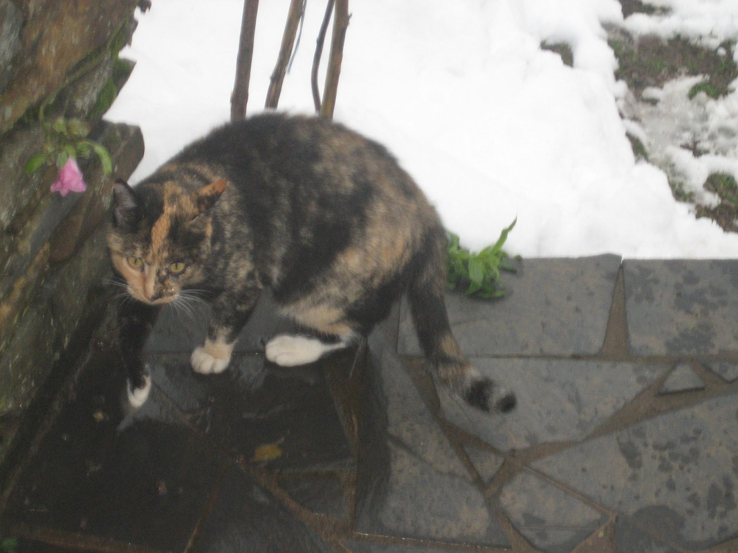 IMG_3986 - копия