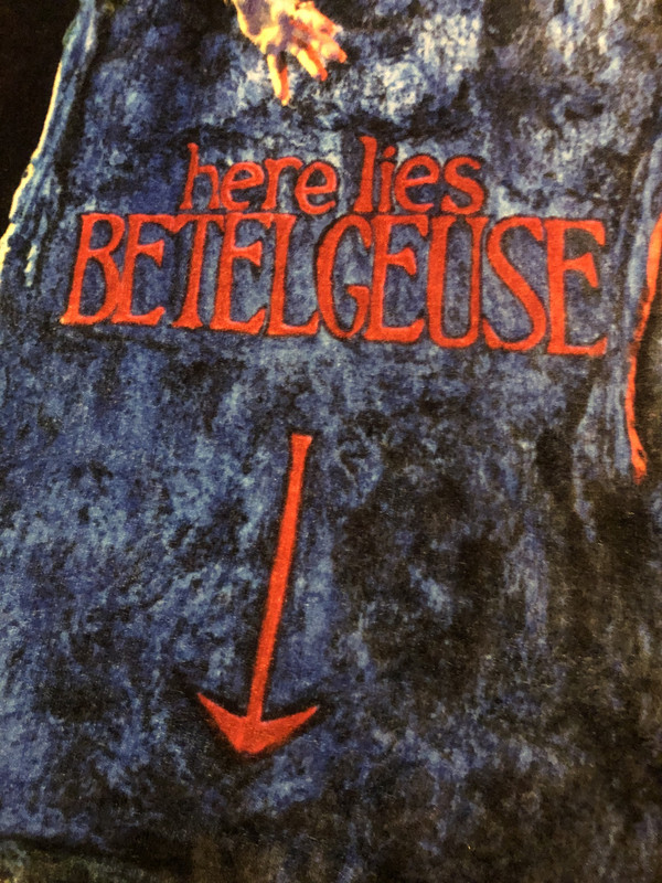 Beetlejuice Black Blue Cemetery Party Plush Throw Blanket 50 X61 Soft Warm Ebay