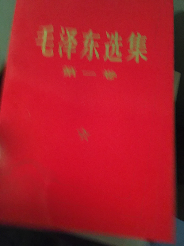 72952D3D-C2CE-4A6A-B55B-BCB4FA063BCF