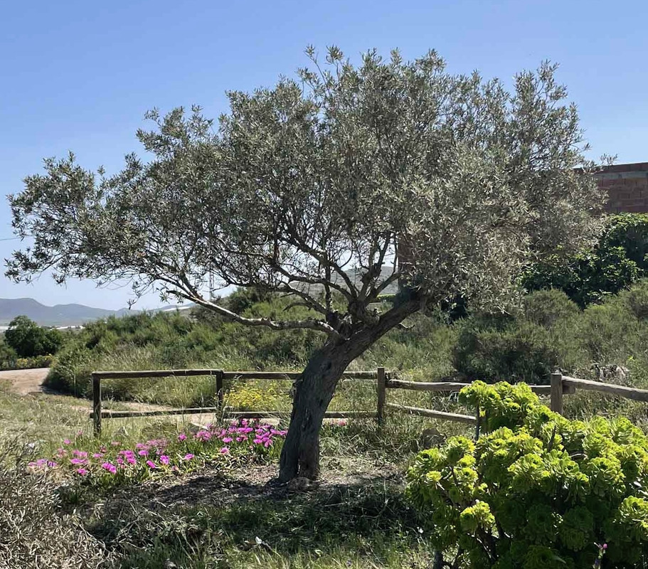 F554FAB8-7017-4289-AA17-8AFFBC5E41E5