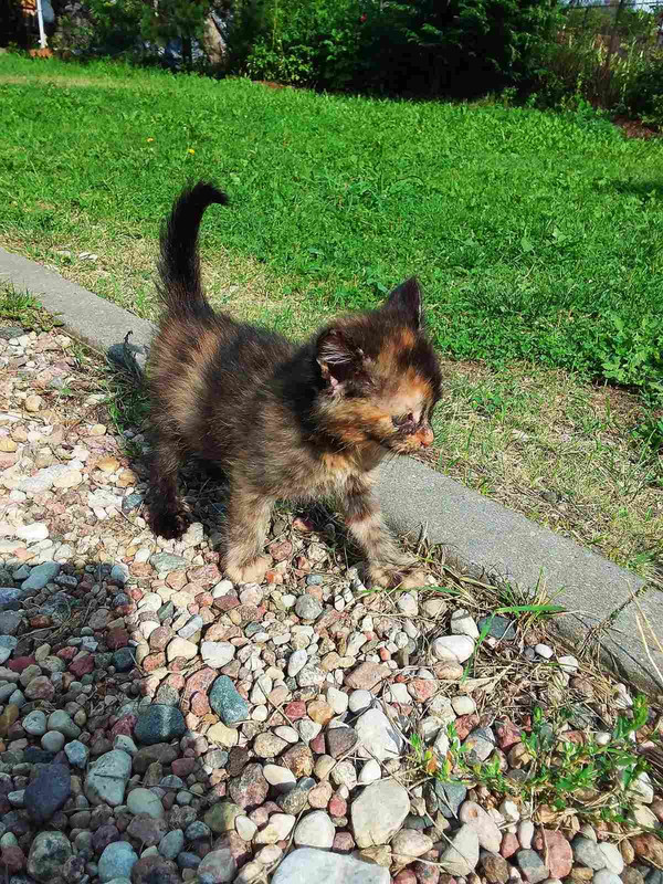 A705511F-F6C5-44D0-9F54-4CEE871E9B4A