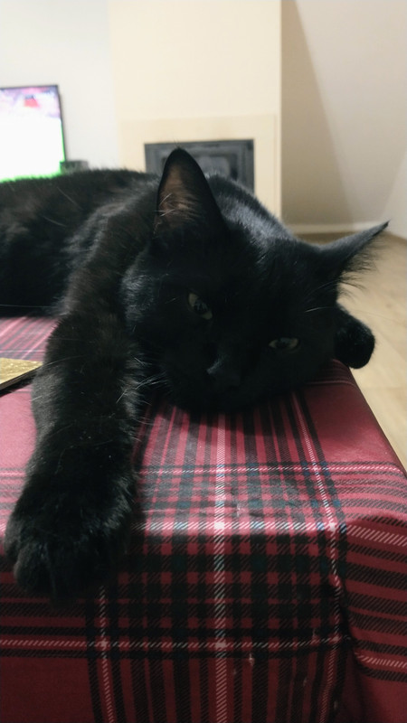 IMG_20251019_185430546~2