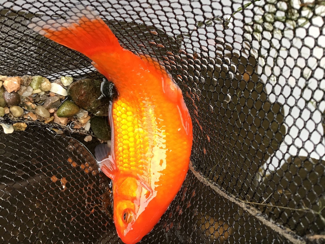 4F57DBD7-342E-4852-8909-BB51AB8F86D6