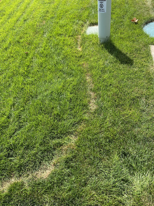 08AFC5F9-547B-477A-9ED3-877F010E0D4A