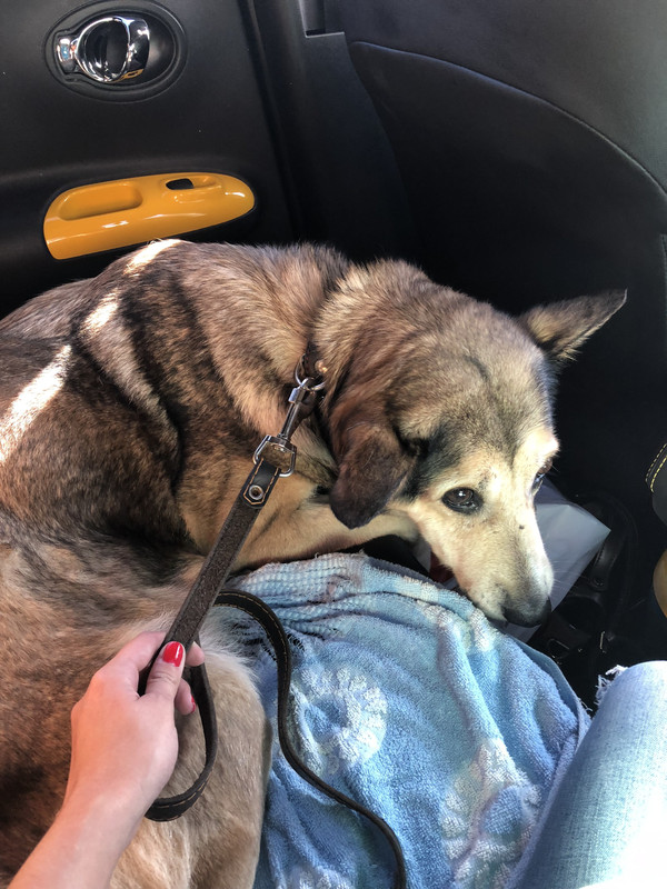 5E1A4365-0E89-4151-A6DA-45F57CCB963B