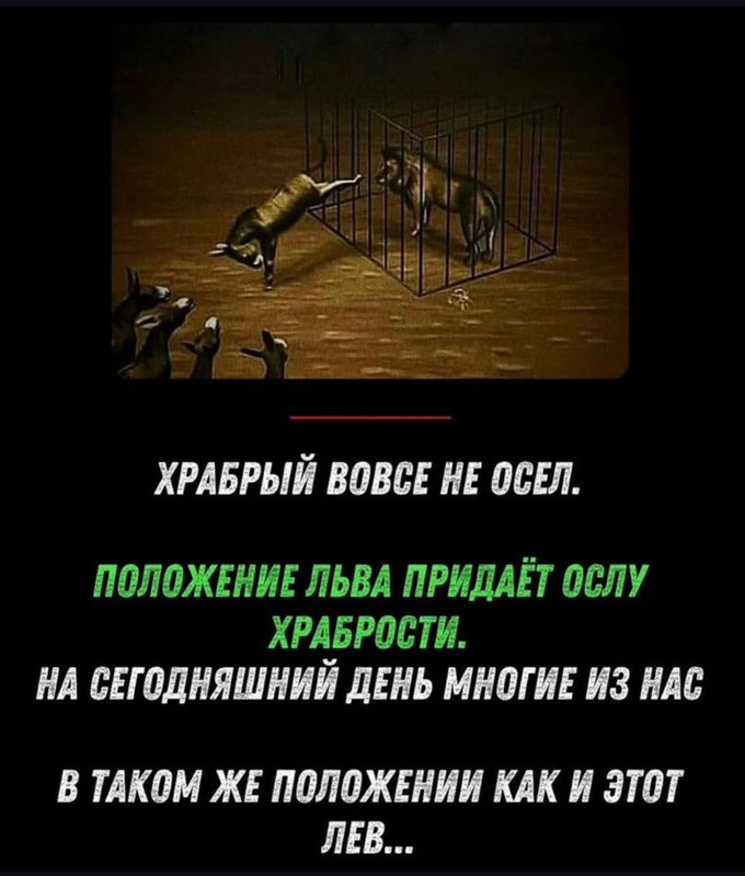 [Изображение: 9f3ec581105c7d1a11a7ae0ad49026af.jpg]