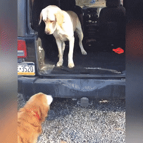 gifs-25.gif